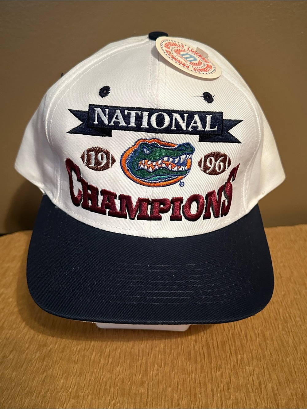 LOGO 7 Florida Gators National Champions Embroidered Baseball Cap